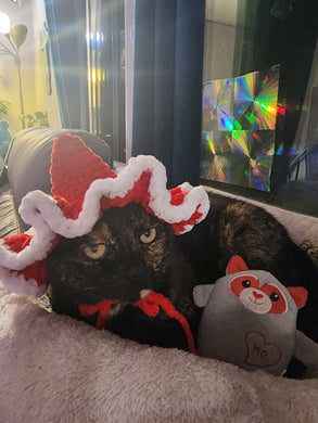 Red and White Festive Hat for Cats or Small Dogs