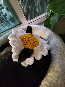 Crochet Daisy Hat for Cats or Small Dogs