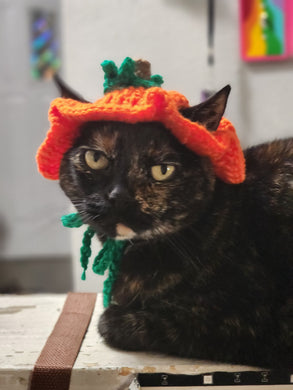 Pumpkin Hat for Cats or Small Dogs