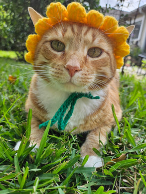 Sunflower Hat for Cats or Small Dogs